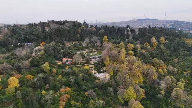 Adnan Oktar In Eski Villasi Rus Oligark In 19390583 9916 M
