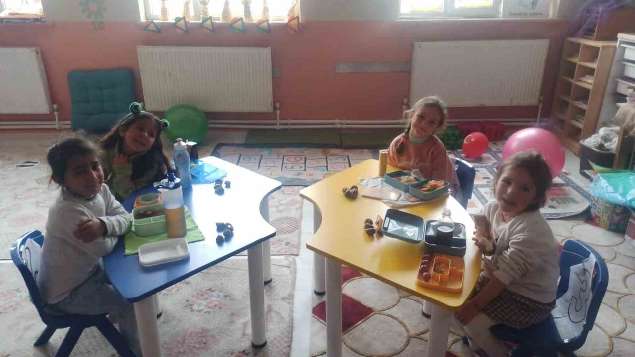 Agri 039 Nin Diyadin Ilcesine Bagli Kusburnu Ilkokulu 039 Nda Gorev Yapan Sinif Ogretmeni Guler Atagun 326506