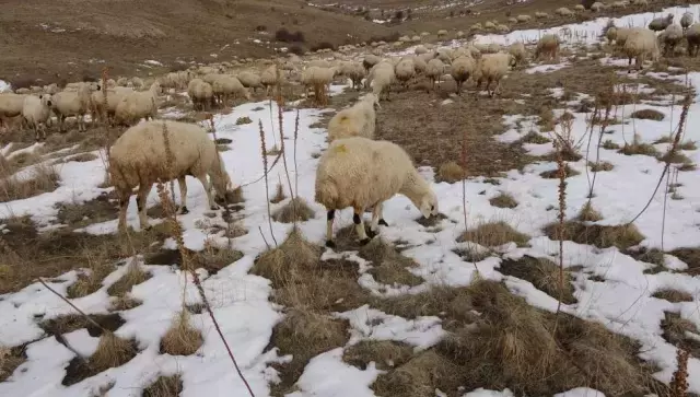 Babasina Kizip Girdigi Iste Paraya Para Demiyor 19391727 3464 M