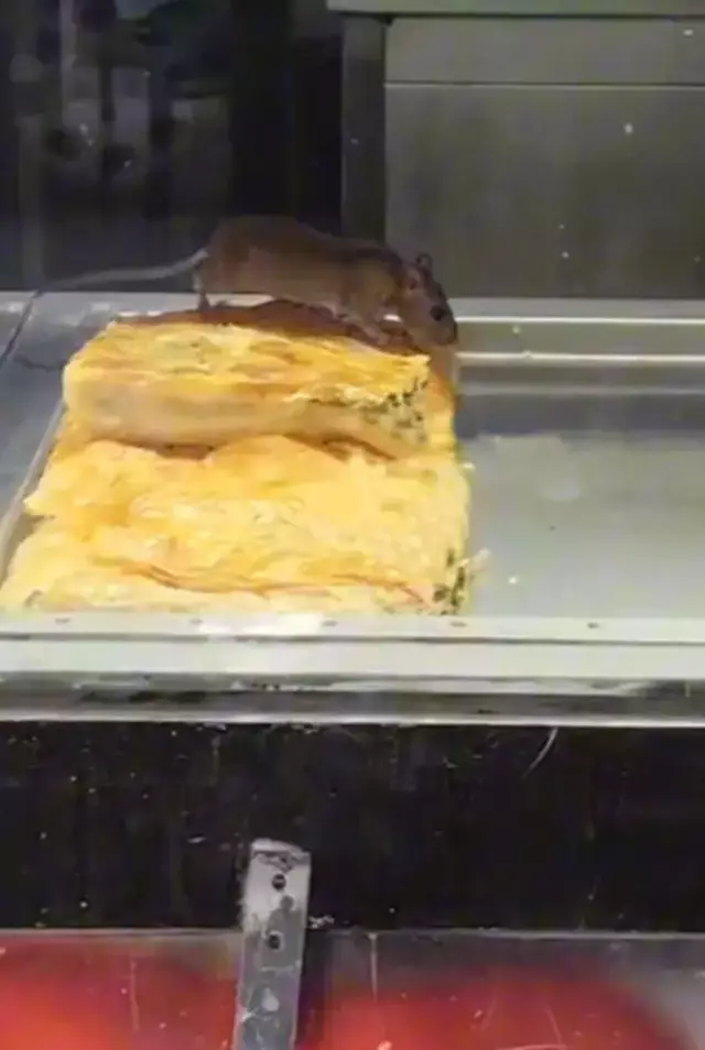 Burasi Hindistan Degil Turkiye Boregi 19363074 5625 M