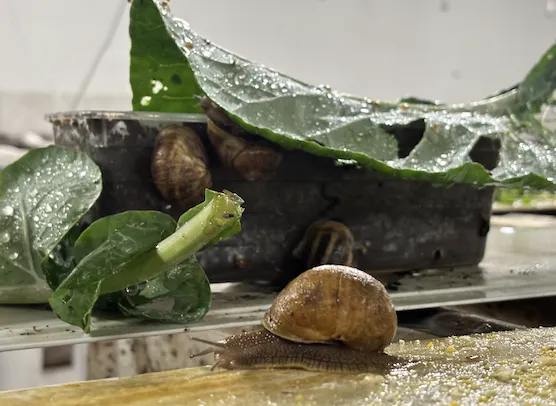 Ekran Resmi 2025 12 02 092033-1