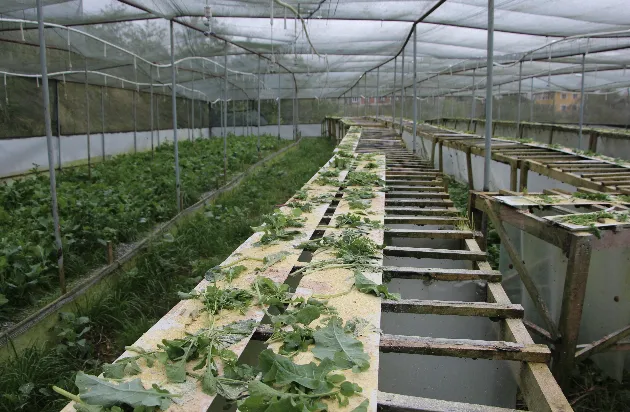 Ekran Resmi 2025 12 02 092054-1