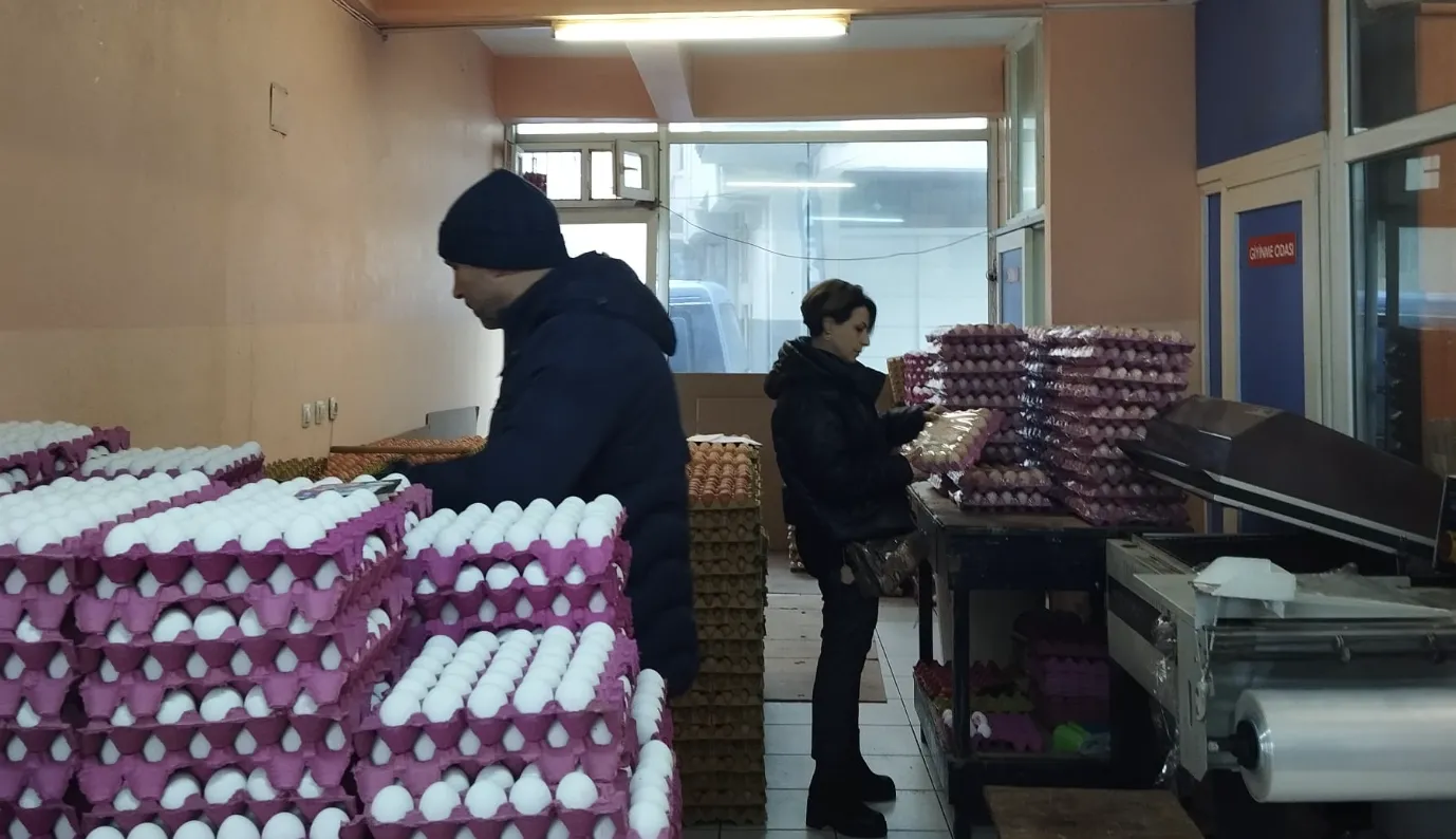 Ekran Resmi 2025 12 12 090737