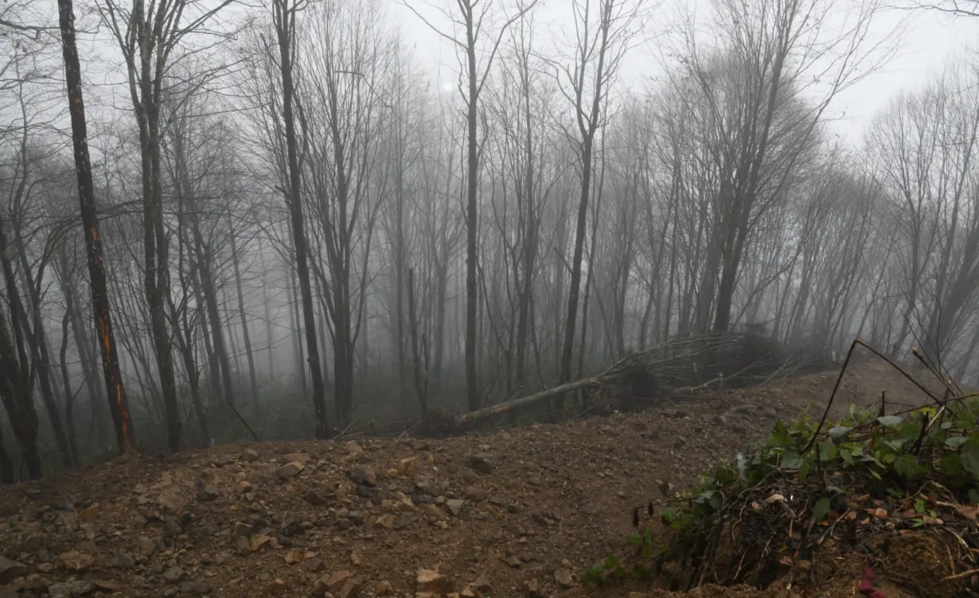 Ekran Resmi 2025 12 26 160008