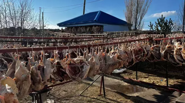 Gurbetteki Karslilar Icin 900 Kazi Keserek 19337505 5600 M