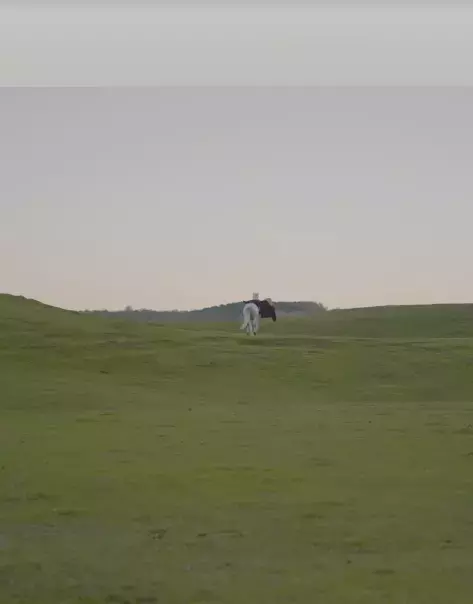 Hayranlarini Korkuttu Aleyna Kalaycioglu 19372468 3369 M