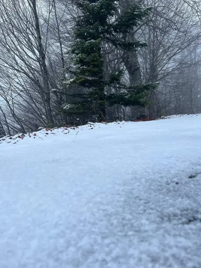 Kar Istanbul Un Kapisina Dayandi Her Yer Beyaza 19354930 2584 M