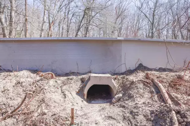 Kurbagalarin Rahatca Ciftlesmesi Icin Yapilan Ask 19321768 3217 M