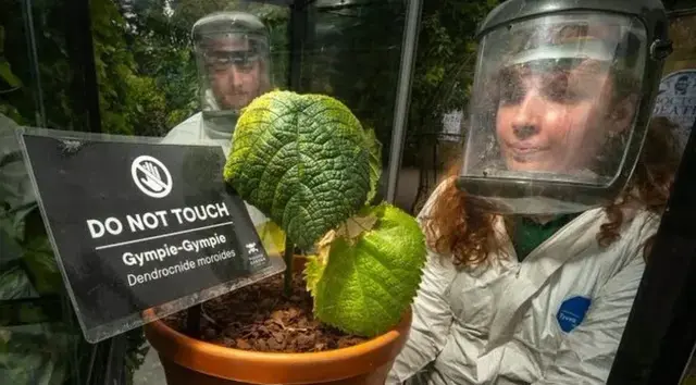 Ozel Guvenlik Kafesinde Tutuluyor Bir Dokunani 19381268 1750 M