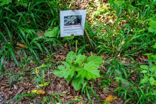 Ozel Guvenlik Kafesinde Tutuluyor Bir Dokunani 19381268 54 M