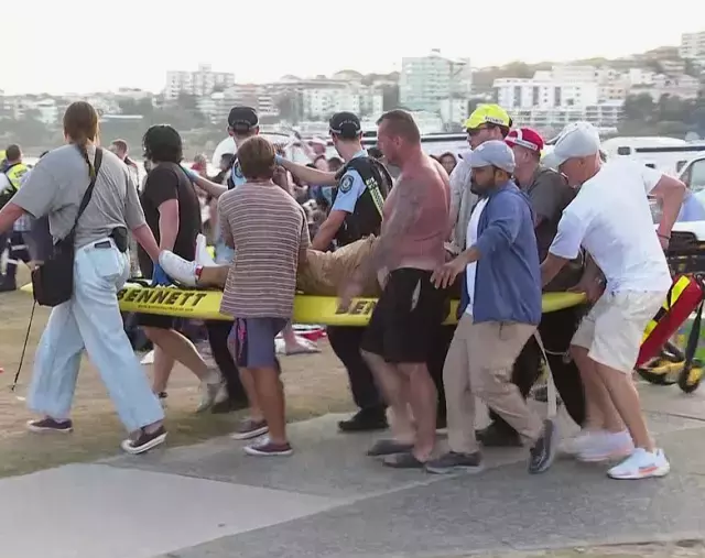 Plaj Katliami Sonrasi Musluman Mezarligina Domuz 19358869 6441 M