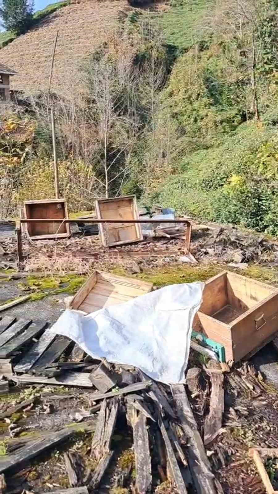 Rize De Ayilarin Saldirisi Sonucu Kovanlarini Dagittigi Arici Olaya Ben Simdi Ne Edeyim Diyerek 338857