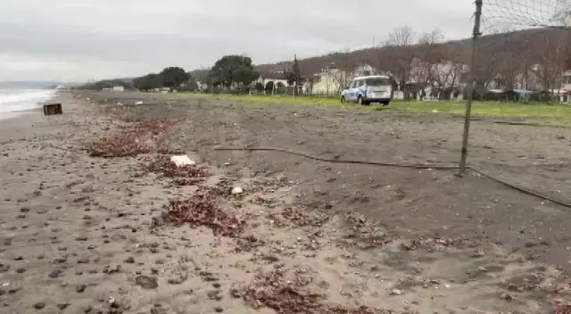 Sahile Vuran Gizemli Sandik Ekipleri Alarma 19393800 4860 M