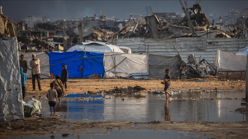 Thumbs B C 6C3Fcc901F1549Defc4C4E1C923D33E0