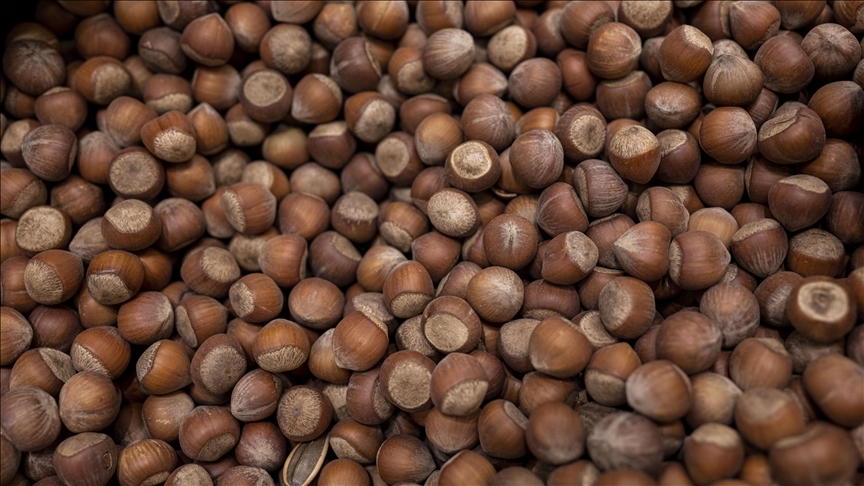 Thumbs B C 76Ab34813D9069C54C06360D535A0518-1