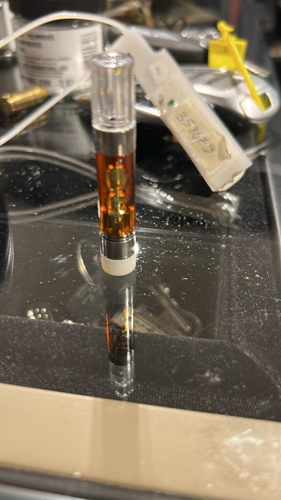 Uyusturucu Operasyonunda Gozaltina Alinan Ezgi 19372100 1989 M