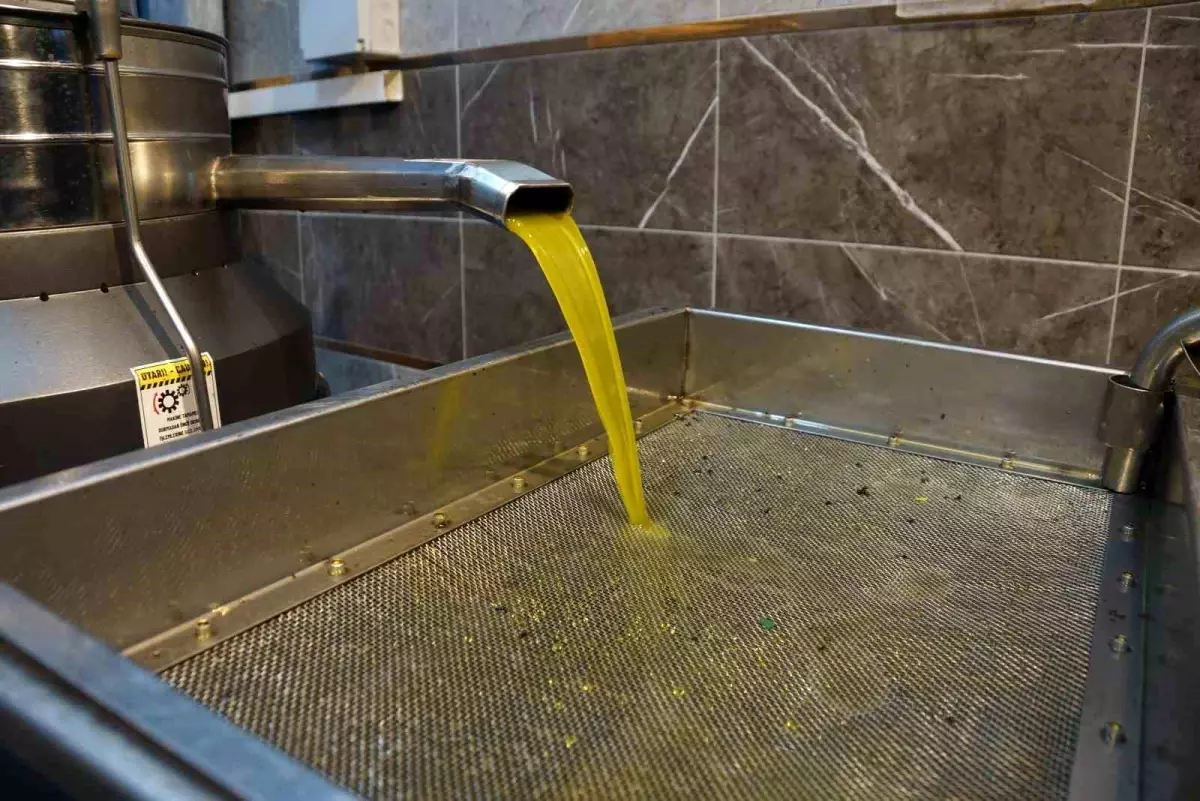 Zeytinyagi Fiyatlari Belli Oldu Fiyatlarda Ar 19366401 Amp