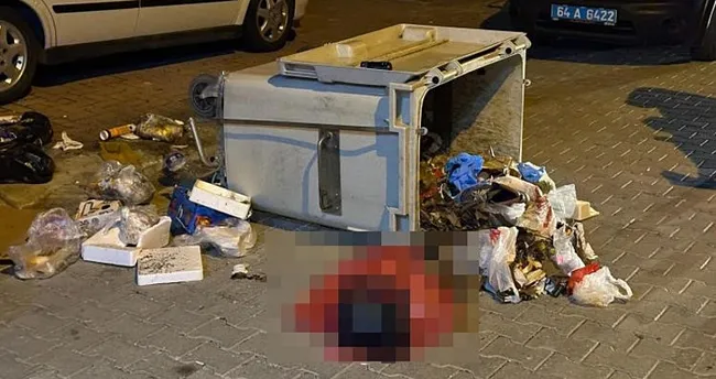 650X344 Usakta Kan Donduran Olay Cop Konteynerinde Yeni Dogmus Bebek Cesedi 1768694138606