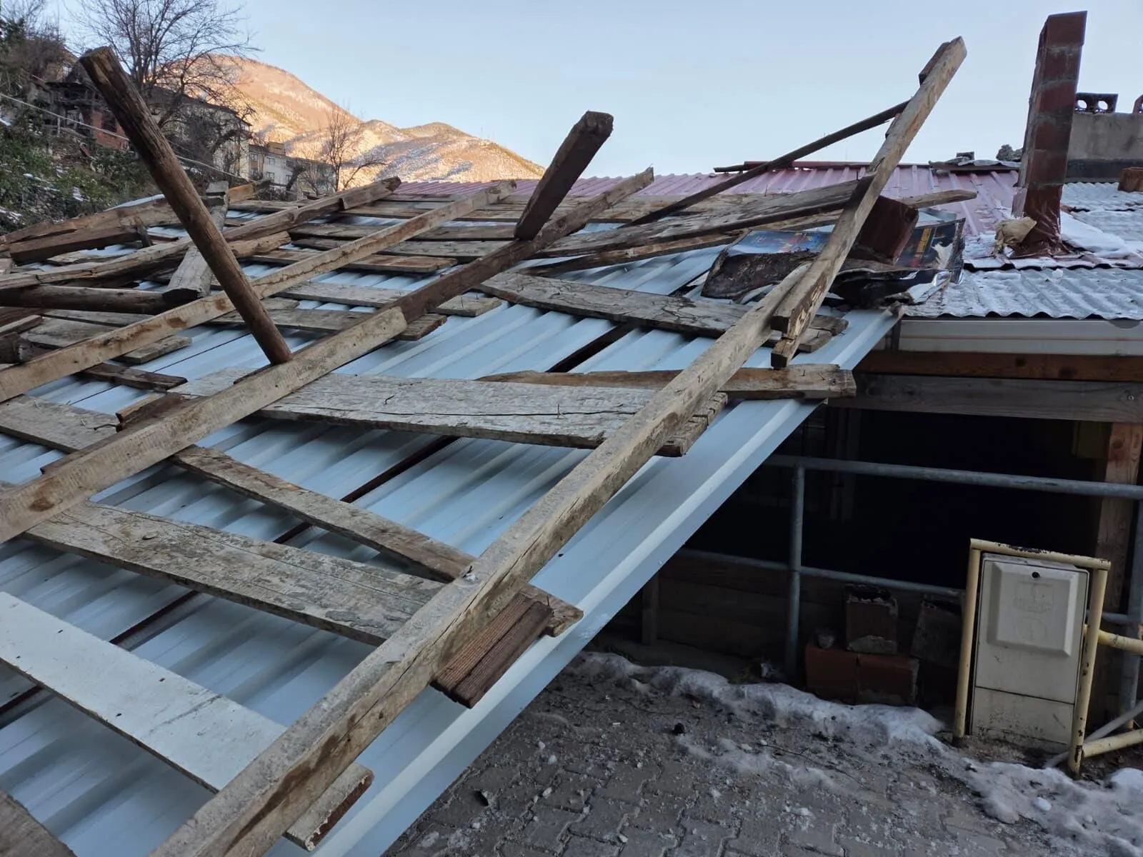 A A 20260103 40147512 40147511 A R T V I N D E S I D D E T L I R U Z G A R D A U C A N C A T I O T O M O B I L E Z A R A R V E R D I