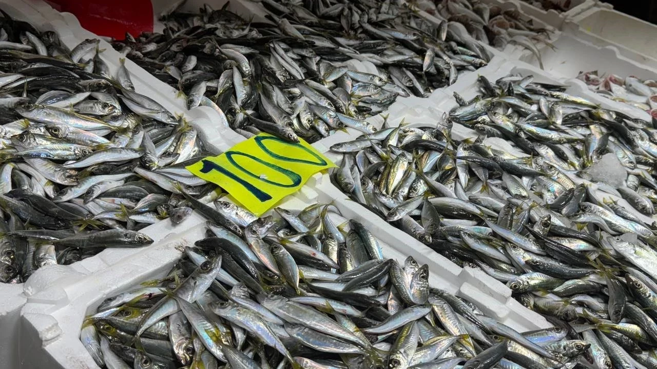 Aw616692 02 V8Gm Cover