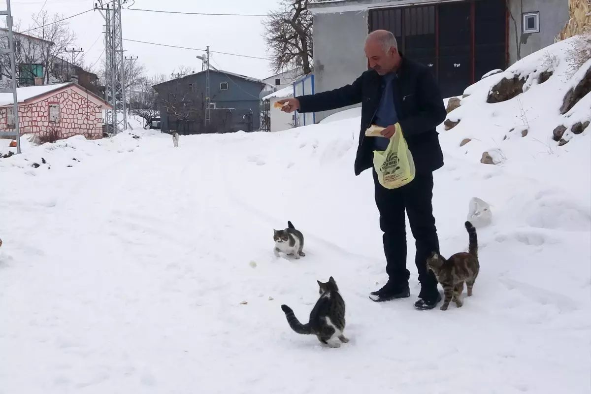 Bu Koyde Sadece Muhtar Yasiyor Tek Nedeni Var 19455644 2538 Amp