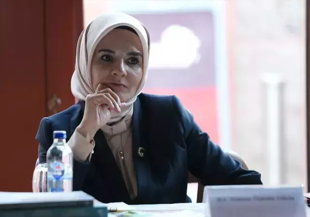 Cumhurbaskani Erdogan I Hakli Cikaran Tablo 19437666 9171 M