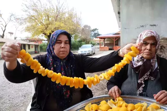 Dalinda 5 Tl Olan Turunc Kadinlarin Elinde Ka 12 19446171 O