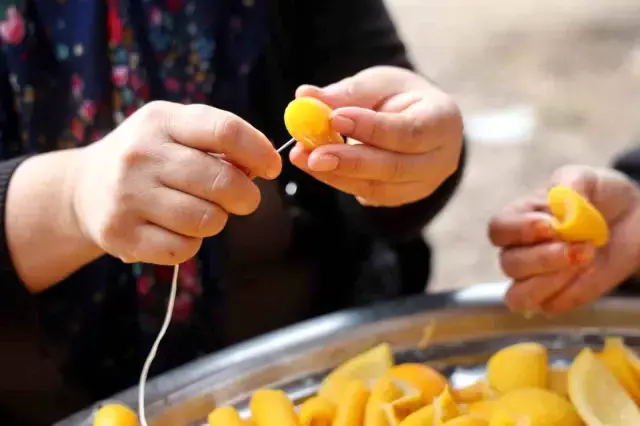 Dalinda 5 Tl Olan Turunc Kadinlarin Elinde Ka 3 19446171 O