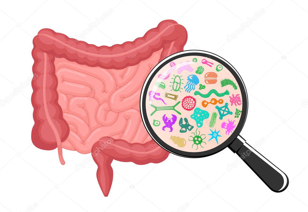 Depositphotos 625855598 Stock Illustration Intestines Microscopic Bacterias Magnification Human