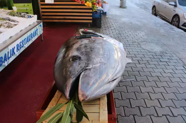 Duzce Aciklarinda Bir Gun Sonra Bu Kez De 353 19419551 9591 M