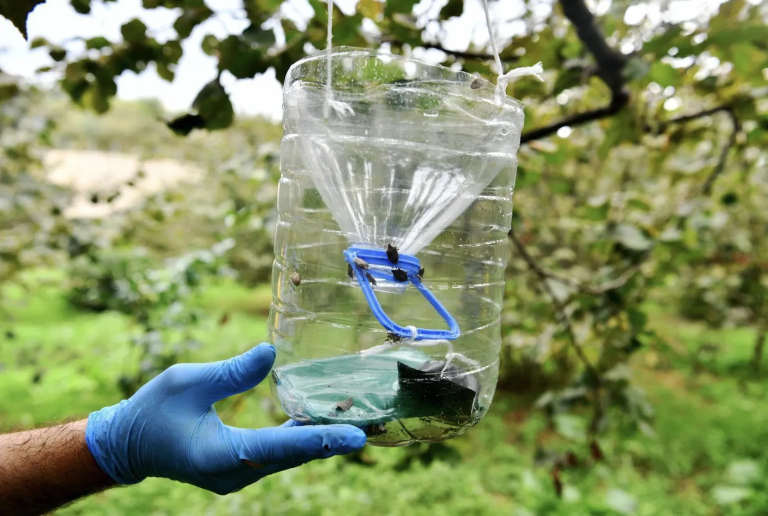 Ekran Resmi 2026 01 18 114635 Kopya Kopya