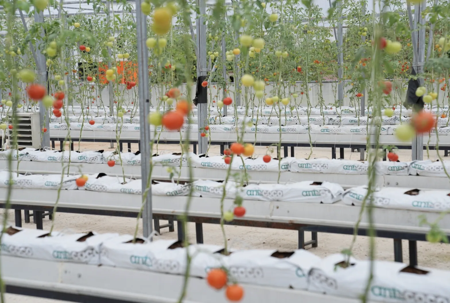 Ekran Resmi 2026 01 18 115336