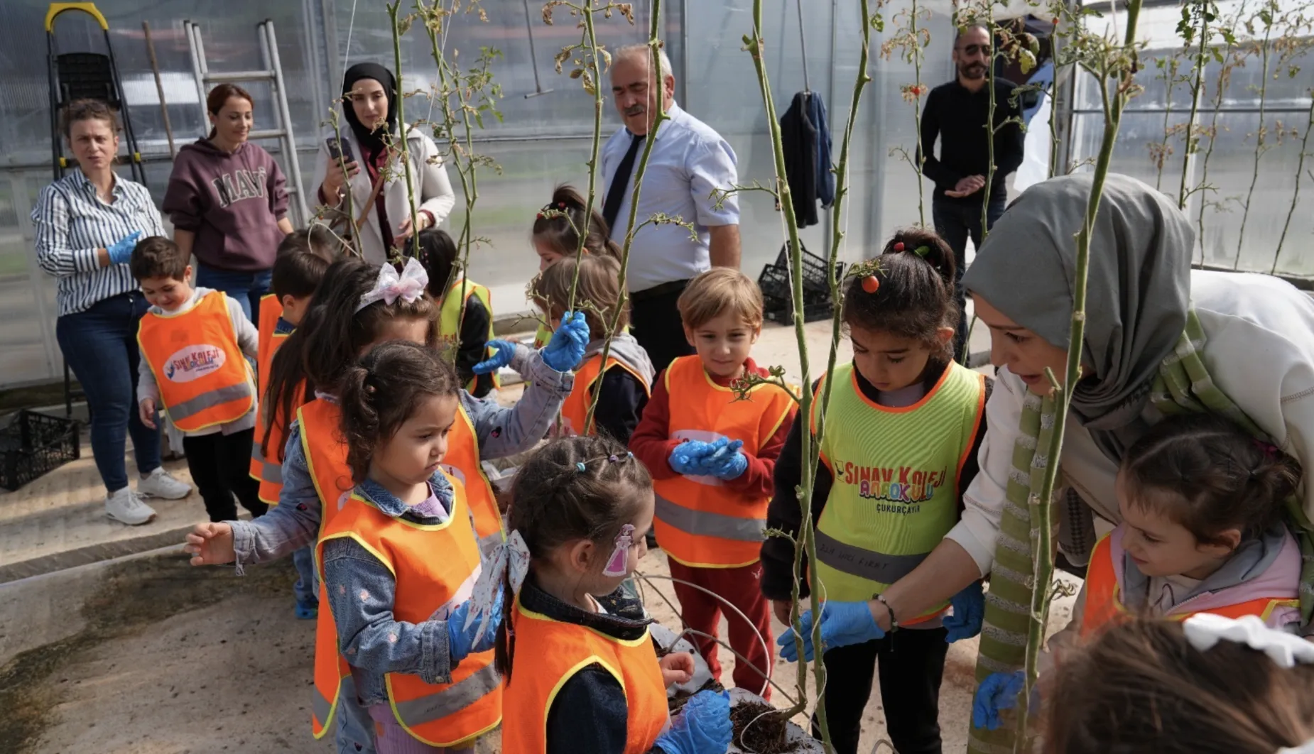 Ekran Resmi 2026 01 18 115345