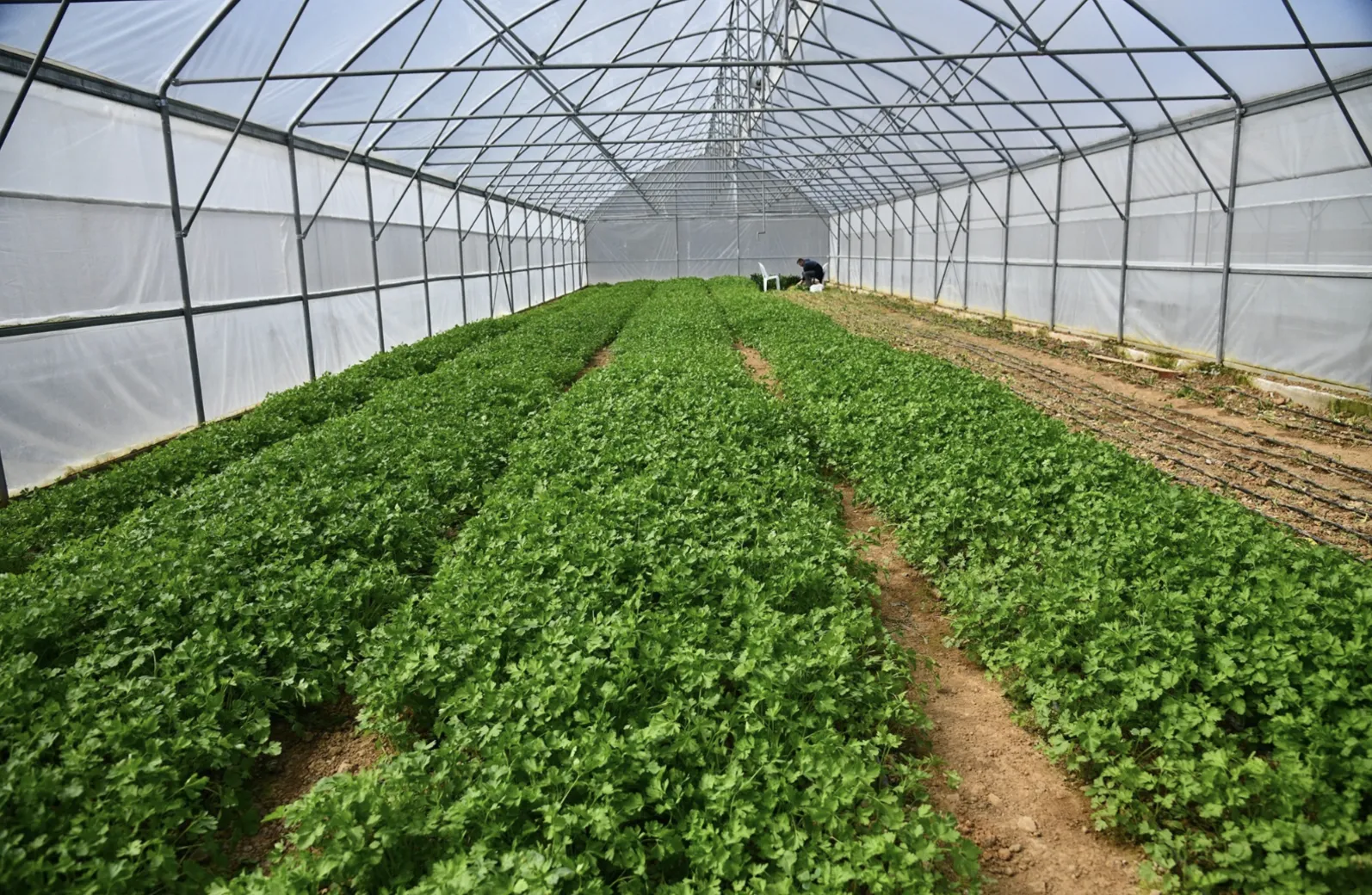 Ekran Resmi 2026 01 18 115350