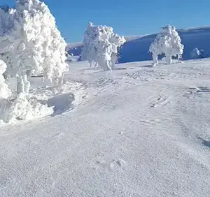 Goruntuler Istanbul Un Yani Basindan 19512406 5611 M