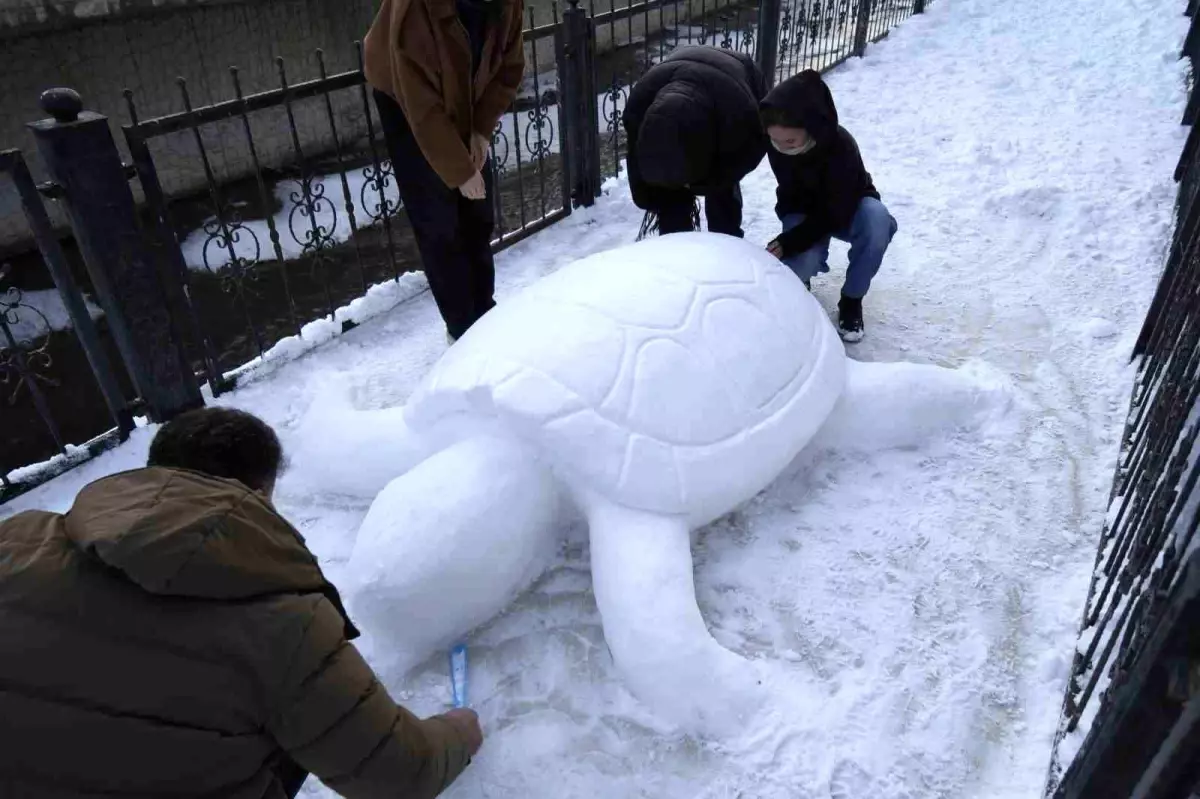 Gumushane De Kardan Kaplumbaga Ilgi Odagi Old 19425484 Amp