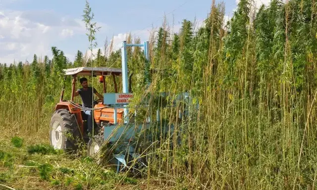 Karar Resmi Gazete De 21 Ilde Kenevir Uretimine 19521286 7633 M