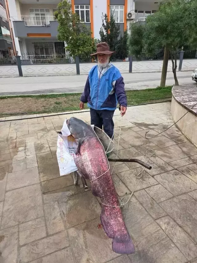 Olta Ile Nehirden 30 Kiloluk Balik Tuttu 19435379 5138 M