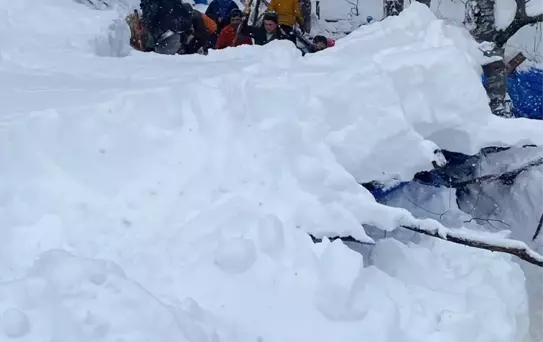 Ordu Da Catisi Coken Agildaki 7 Koyun Telef O 19484216 Amp