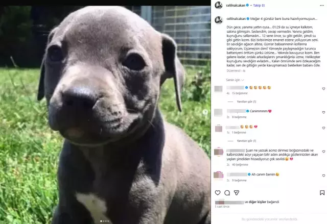 Oyuncu Celil Nalcakan In Aci Gunu Su Gibi Geldin 19515376 7534 M