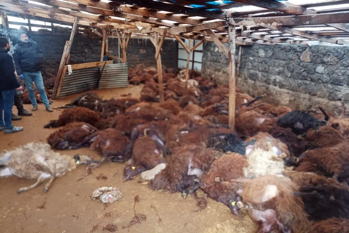 Sabah Ahirina Giden Vatandas Gordugu Manzara 19508376 6268 Amp