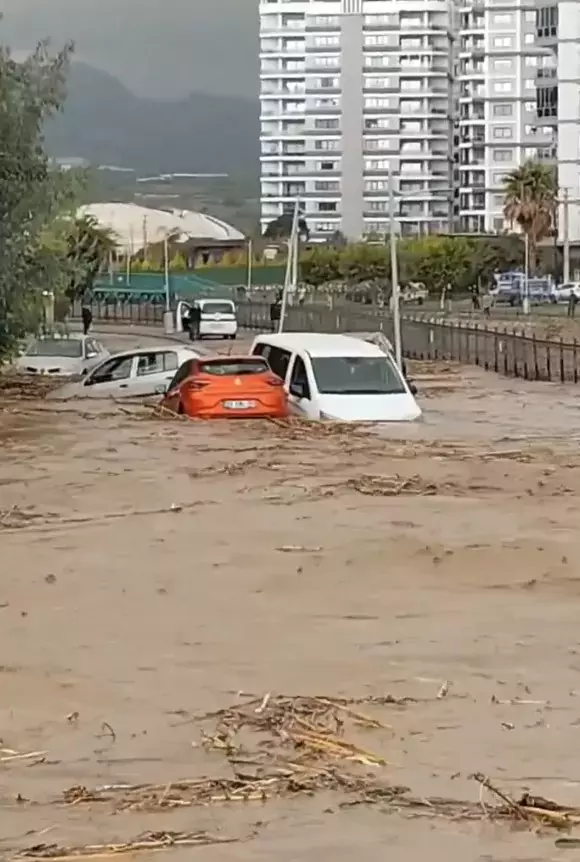 Sele Teslim Olan Mersin Den Korkutan Goruntuler 19520268 8882 M