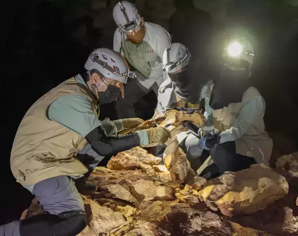 Suudi Arabistan Da Bir Magarada 7 Mumyalanmis 19468313 6838 M