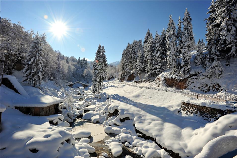 Thumbs B2 09Ce3C5Fe952C1B21211E3F0Ae3Bb757