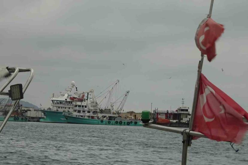 Turkiyeyi Terk Eden Hamsinin Yolu Gozleniyor