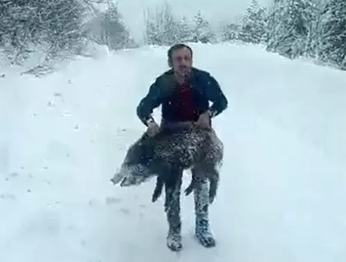 Yaban Domuzunu Ciplak Elle Yakalayan Adam 19433503 401 M