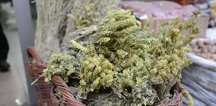 0X0 Bir Yudumu Bile Sifa Mucize Dag Cayinin Faydalari Nelerdir 1770450115406