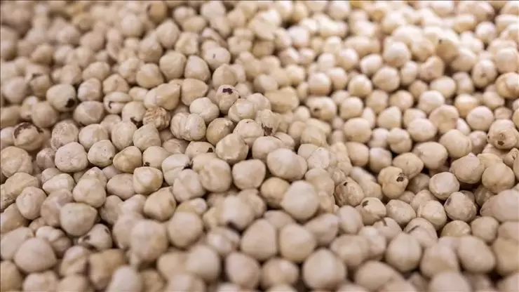 6982F3Cabd2B38Dfcff590A3