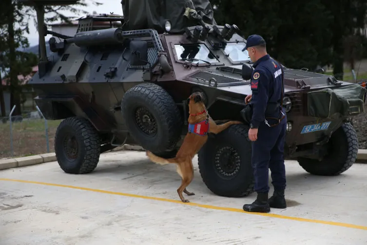 Aa Picture 20260226 40669800