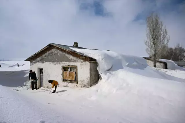 Bu Koyun Kisin Tek Sakini Onlar 3 Metre Karin 19608420 9685 M